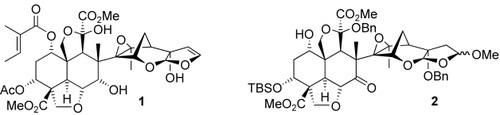 schematic molecule structures