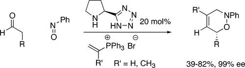 Schematic of Organocatalytic Route to Chiral Dihydro-1,2-oxazines