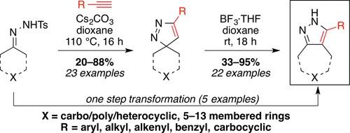 Schematic of saturated spirocyclic ring-expanded fused pyrazoles