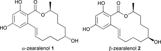schematic structures of the resorcylic macrolides &alpha;- and &beta;- Zearalenol