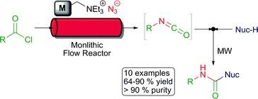 Molecule passing through a Monolithic Flow Reactor