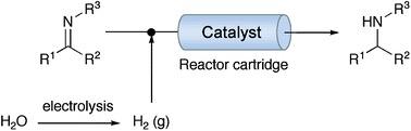 continuous flow-reactor employing a mixed hydrogen&ndash;liquid flow stream for the efficient reduction of imines to amines