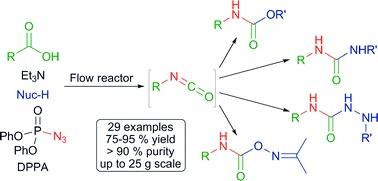 Chemical structures passing through a flow reactor