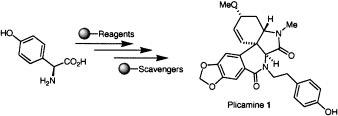 Total synthesis of the amaryllidaceae alkaloid (+)-plicamine using solid-supported reagents