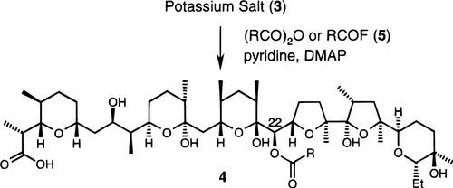 potassium ion as a template for the selective derivatisation of the antibiotic X-206&nbsp;