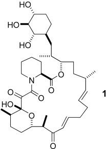 Schematic structure of antascomicin B (1)