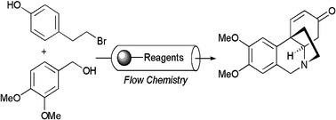 Schematic of a Flow Process for the Multi-Step Synthesis of the Alkaloid Natural Product Oxomaritidine