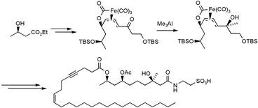 Synthesis of taurospongin A using &pi;-allyltricarbonyliron lactone complexes