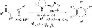Schematic of Chiral 1,2-Oxazines and Chiral Pyridazines structures