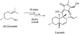 schematic of the total synthesis of Equisetin