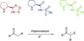 schematic of Organocatalysis with Proline Derivatives