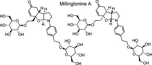 schematic structure of Millingtonine A