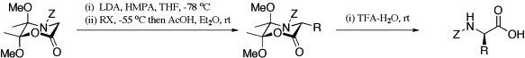 Schematic of The Preparation and Alkylation of a Butanedione-Derived Chiral Glycine Equivalent and its use for the Synthesis of alpha-Amino Acids and alpha, alpha-Disubstituted Amino Acids