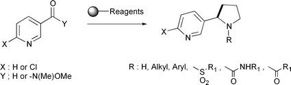 The sequential use of solid-supported reagents and scavengers has led to an efficient synthesis of the natural products nornicotine 1, nicotine 2 and further fuctionalised derivatives