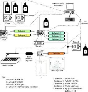 Preparation of the Neolignan Natural Product Grossamide by a Continuous Flow Process