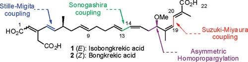 Molecule structure of Isobongkrekic acid and Bongkrekic acid