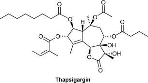Thapsigargin structure