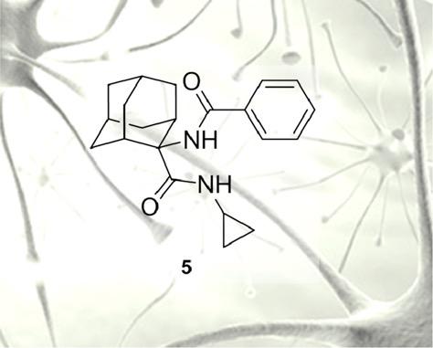 Flow Synthesis and Biological Studies of an Analgesic Adamantane Derivative That Inhibits P2X7‑Evoked Glutamate Release