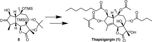 Total synthesis of Thapsigargin
