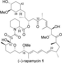 Rapamycin structure
