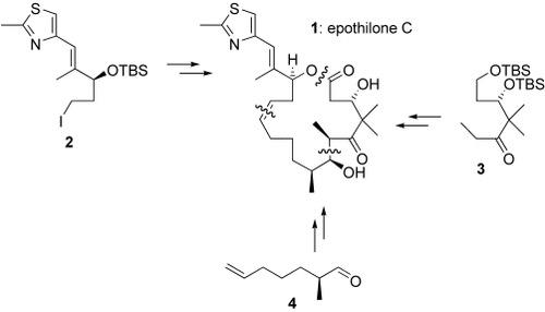 Schematic of the total synthesis of Epothilone C
