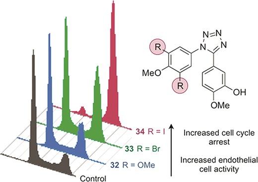 Molecule structure and spectroscopy results