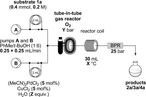Schematic of gas reactor