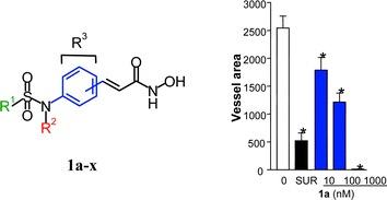 schematic of Polymer-assisted, multi-step solution phase synthesis and graph of biological screening of histone deacetylase inhibitors