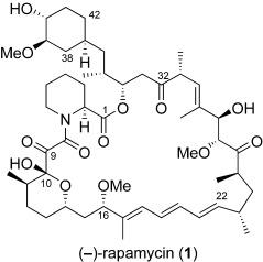 Schematic of Rapamycin structure