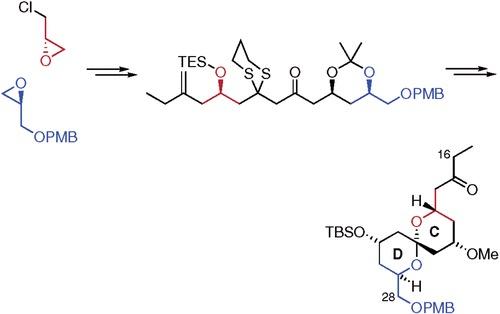 schematic of route to the CD spiroketal (C-16&minus;C-28) of the spongistatins