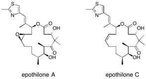 schematic of epothilone A and epothilone C structures