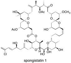 schematic of sponistatin 1 molecule