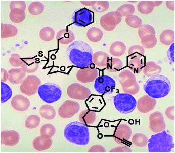Background of pink/purple cells under a microscope with chemical structure superimposed