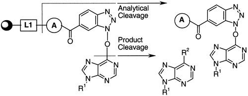 Schematic of the development of a 1-hydroxybenzotriazole linker for the synthesis of heterocyclic derivatives