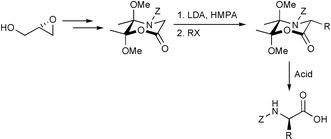 Schematic of A 2,3-butanedione protected chiral glycine equivalent