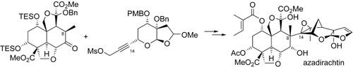 Schematic of synthesis of Azadirachtin molecules
