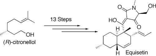 schematic of a short stereoselective synthesis of the fusarium toxin equisetin, an N-methylserine-derived acyl tetramic acid and potent inhibitor of HIV-1 integrase enzyme