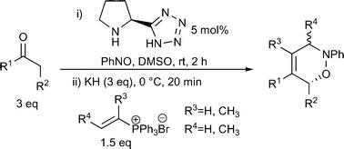 schematic of Organocatalytic Route to Chiral 1,2-Oxazines from Ketones&nbsp;
