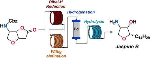 Continuous Flow Techniques in the Total Synthesis of Jaspine B