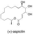 Total synthesis of (+)-Aspcilin