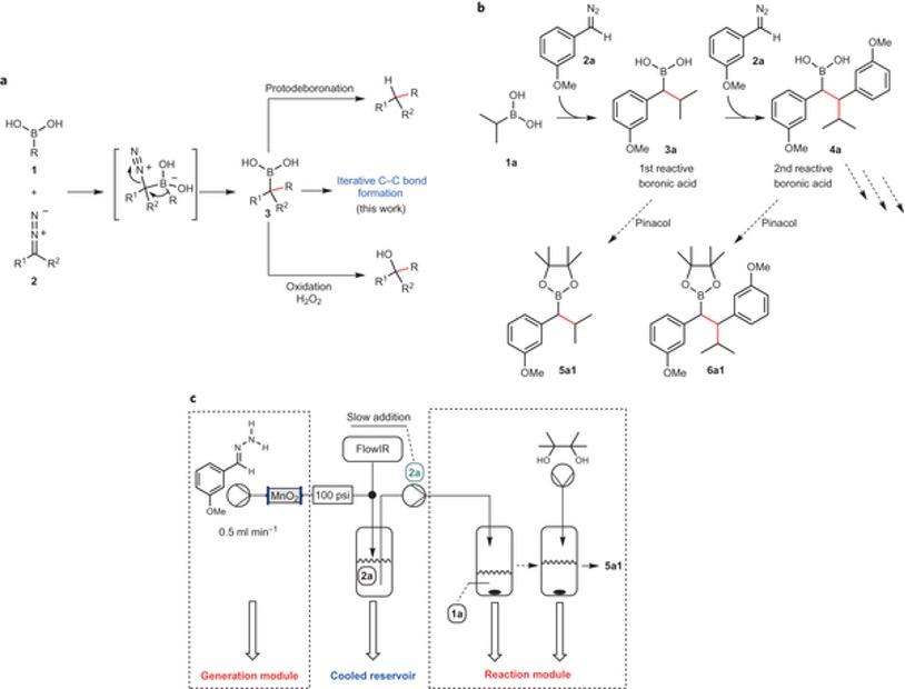 Flow diagram through boxes of molecular structures