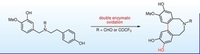 Chemical structures altering through a cyclisation reaction
